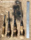 wood screwdrivers.jpg (510136 bytes)
